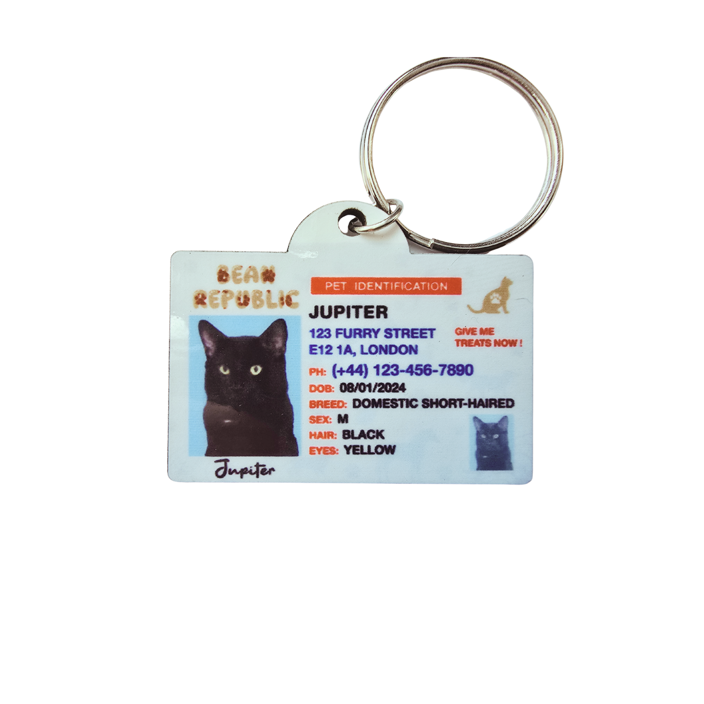 Custom Pet ID Cards and Tags