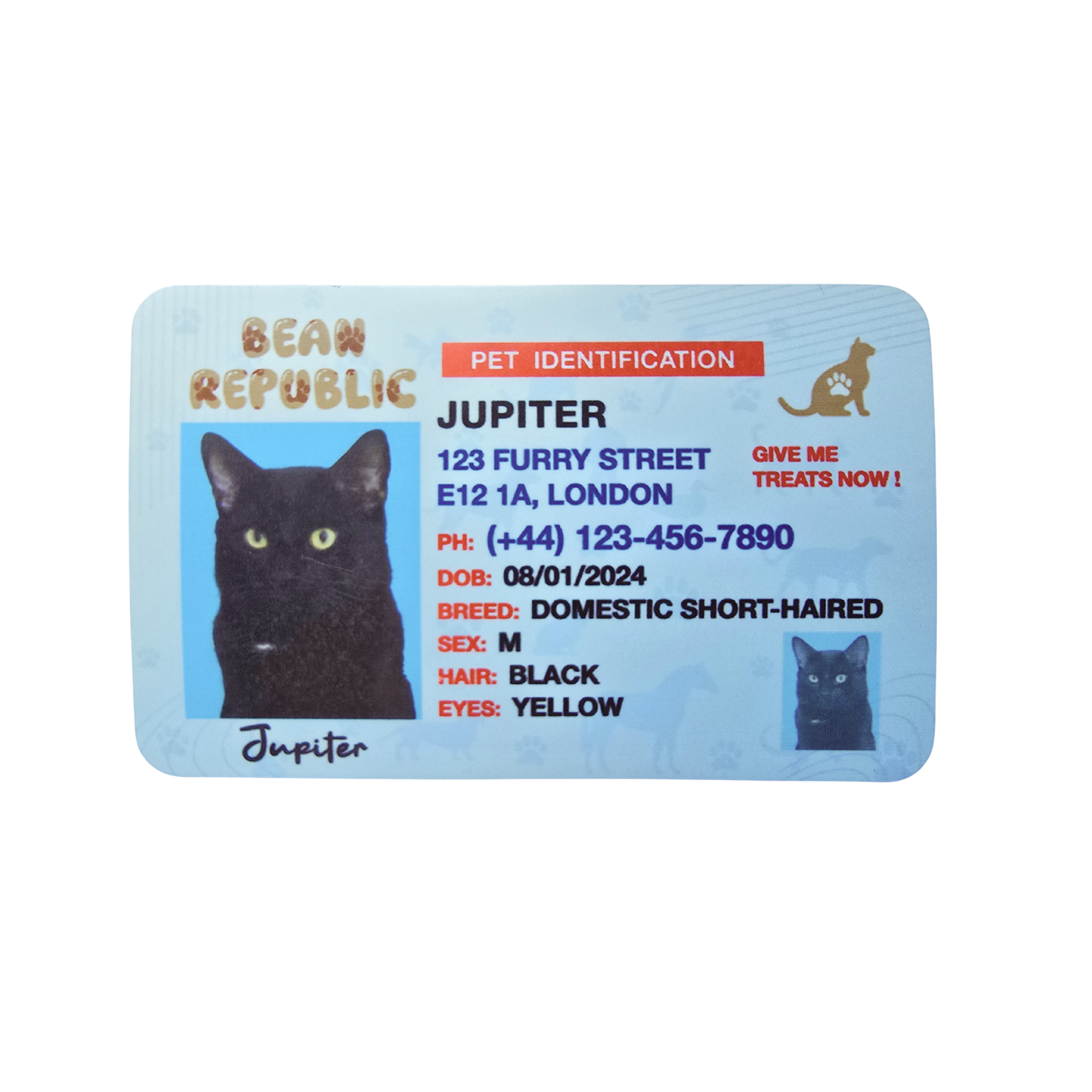 Custom Pet ID Cards and Tags