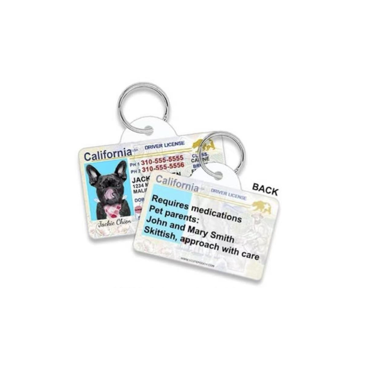 Custom Pet ID Cards and Tags